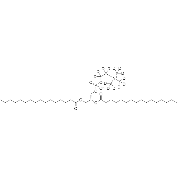 DPPC-d13结构式