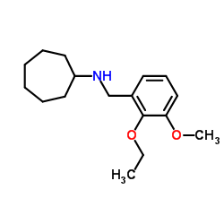 N-(2-Ethoxy-3-methoxybenzyl)cycloheptanamine结构式