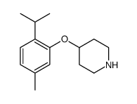Piperidine, 4-[5-methyl-2-(1-methylethyl)phenoxy] Structure