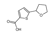 5-(oxolan-2-yl)thiophene-2-carboxylic acid Structure
