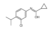 N-(3-chloro-4-propan-2-ylphenyl)cyclopropanecarboxamide结构式