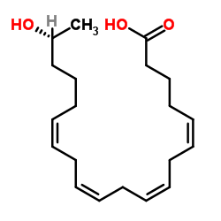 19-Hete Structure