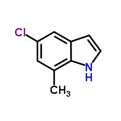 5-Chloro-7-methyl-1H-indole Structure