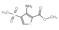 Methyl 3-amino-4-(methylsulfonyl)thiophene-2-carboxylate picture