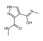 4-N,5-N-dimethyl-1H-pyrazole-4,5-dicarboxamide结构式