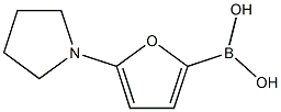 5-(Pyrrolidino)furan-2-boronic acid图片