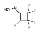 N-(2,2,3,3,4-pentafluorocyclobutylidene)hydroxylamine结构式
