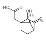 2-(2-hydroxy-7,7-dimethyl-3-oxo-norbornan-1-yl)acetic acid结构式