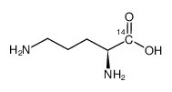 l-ornithine, [1-14 c]结构式