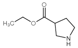 Pyrrolidine-3-carboxylic acid ethyl ester picture