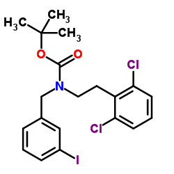 2-Methyl-2-propanyl [2-(2,6-dichlorophenyl)ethyl](3-iodobenzyl)carbamate Structure