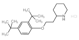 2-{2-[2,4-Di(tert-butyl)phenoxy]ethyl}piperidine hydrochloride结构式