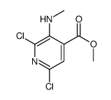Methyl 2,6-dichloro-3-(methylamino)isonicotinate Structure