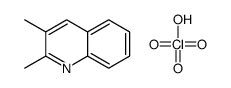2,3-dimethylquinoline,perchloric acid Structure