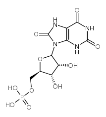 9-N-ribofuranosyluric acid 5'-monophosphate structure