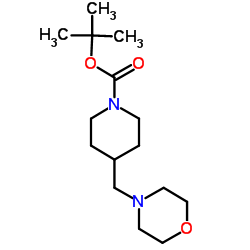 1-Boc-4-Morpholin-4-ylmethyl-piperidine picture