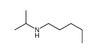 N-propan-2-ylpentan-1-amine Structure