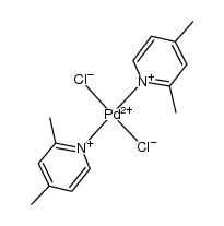 trans-[Pd(2,4-dimethylpyridine)2Cl2] Structure
