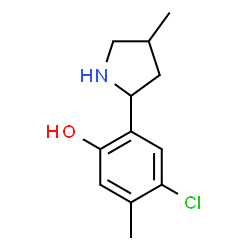 Phenol, 4-chloro-5-methyl-2-(4-methyl-2-pyrrolidinyl)- (9CI)结构式