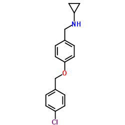 N-{4-[(4-Chlorobenzyl)oxy]benzyl}cyclopropanamine Structure