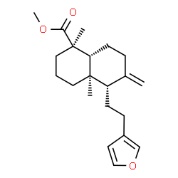 (+)-Polyalthic acid methyl ester structure