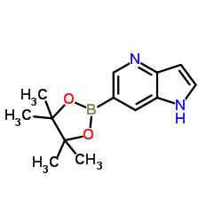 6-(4,4,5,5-四甲基-1,3,2-二氧硼烷-2-基)-1H-吡咯并[3,2-b]吡啶图片