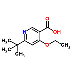 sodium 6-tert-butyl-4-ethoxynicotinate picture