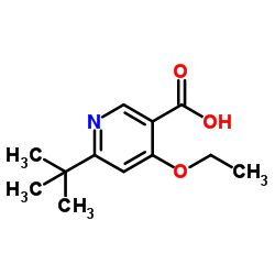 sodium 6-tert-butyl-4-ethoxynicotinate结构式