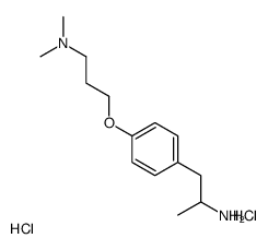 1-[4-[3-(dimethylamino)propoxy]phenyl]propan-2-amine,dihydrochloride结构式