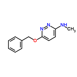 6-(Benzyloxy)-N-methyl-3-pyridazinamine结构式