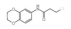 3-Chloro-N-(2,3-dihydro-1,4-benzodioxin-6-yl)propanamide Structure