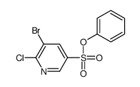 phenyl 5-bromo-6-chloropyridine-3-sulfonate结构式