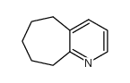 2,3-cycloheptenopyridine picture