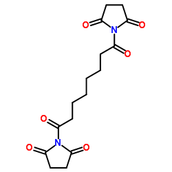 disuccinimidyl suberate Structure