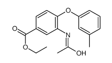 ethyl 3-acetamido-4-(3-methylphenoxy)benzoate结构式