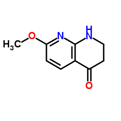 7-甲氧基-2,3-二氢-1,8-萘啶-4(1H)-酮结构式