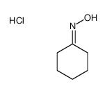 N-cyclohexylidenehydroxylamine,hydrochloride Structure