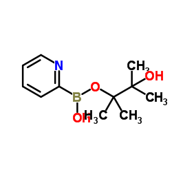 2-(4,4,5,5-四甲基-1,3,2-二恶硼烷-2-基)-吡啶结构式