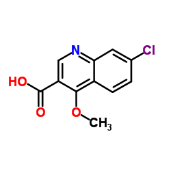 7-CHLORO-4-METHOXY-QUINOLINE-3-CARBOXYLIC ACID结构式