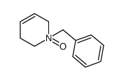 1-benzyl-1,2,5,6-tetrahydropyridine-N-oxide Structure