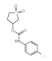 (1,1-dioxothiolan-3-yl) N-(4-chlorophenyl)carbamate结构式