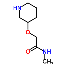 N-methyl-2-(piperidin-3-yloxy)acetamide结构式