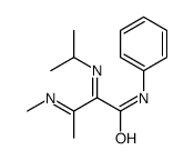 3-methylimino-N-phenyl-2-propan-2-yliminobutanamide结构式