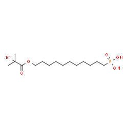 [11-[(2-Bromo-2-methylpropanoyl)oxy]undecyl]phosphonic Acid structure