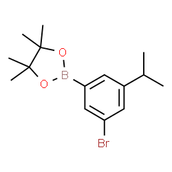 3-Bromo-5-isopropylphenylboronic acid pinacol ester structure