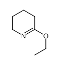6-ethoxy-2,3,4,5-tetrahydropyridine picture