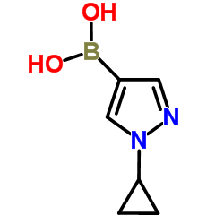 1-Cyclopropylpyrazole-4-boronic Acid structure