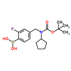 (4-(((tert-butoxycarbonyl)(cyclopentyl)amino)Methyl)-2-fluorophenyl)boronic acid picture
