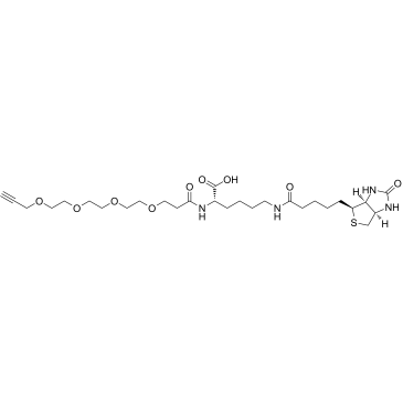 N-(Propargyl-PEG4)-biocytin结构式
