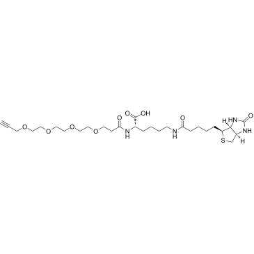 N-(Propargyl-PEG4)-biocytin structure